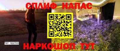 ешки Гусь-Хрустальный