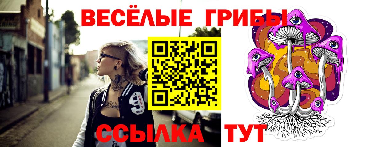 Псилоцибиновые грибы мицелий  сколько стоит  Мурино  Вход с VPN 